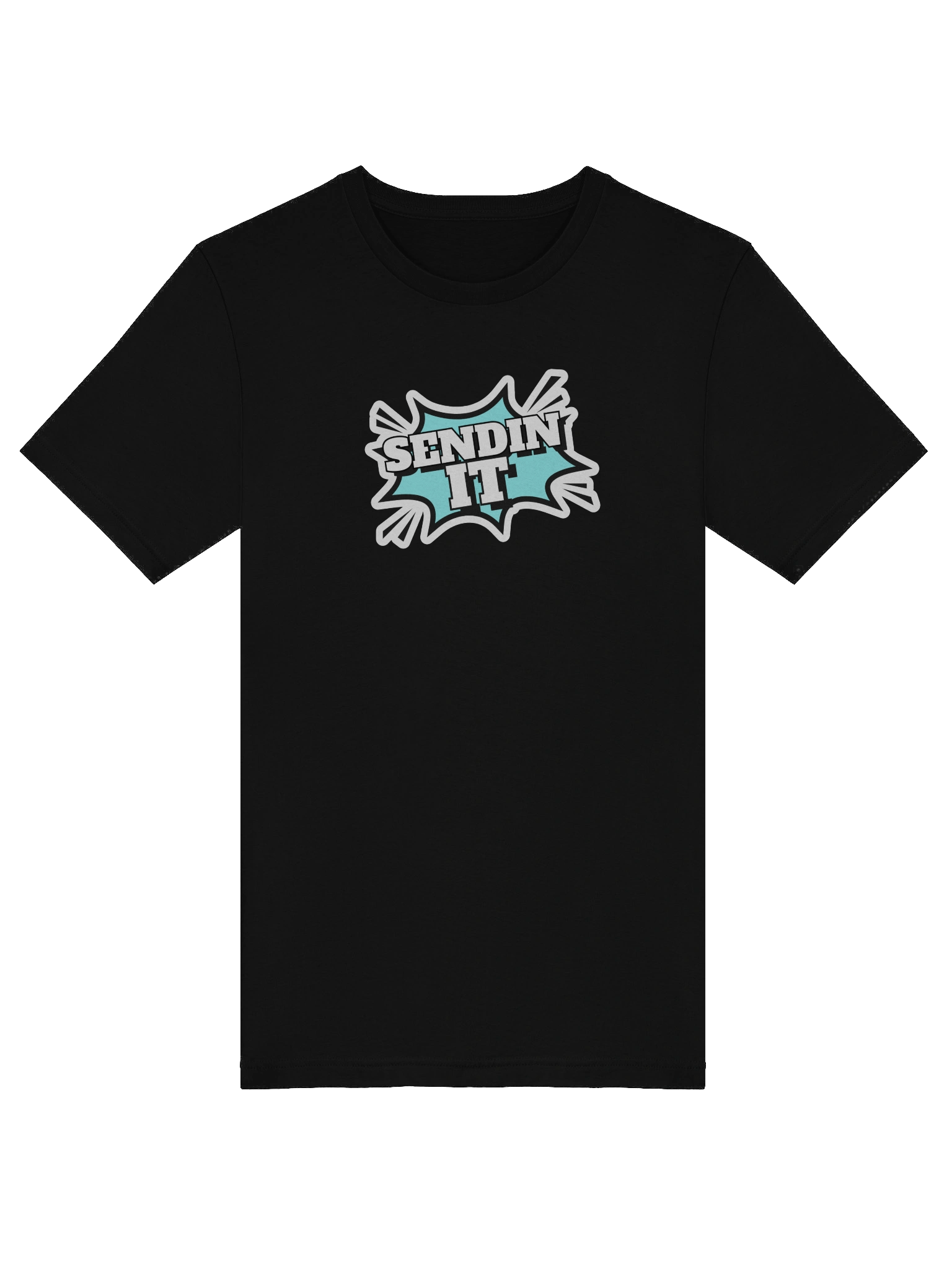 Sendin It! - Women's Tee product image (10)