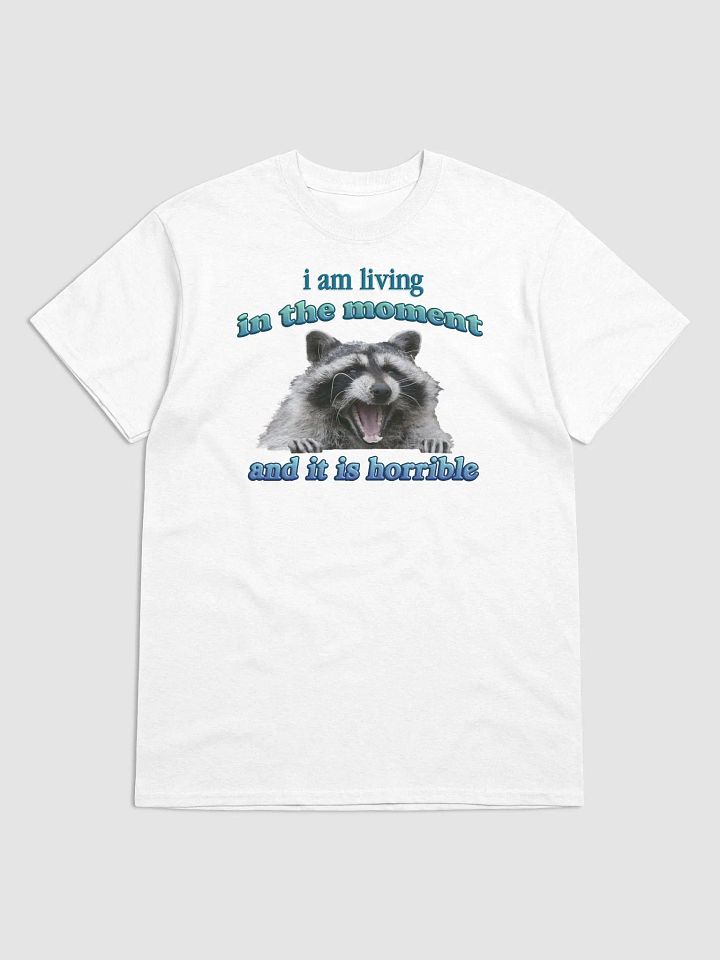 I am living in the moment (and it is horrible) raccoon T-shirt product image (7)