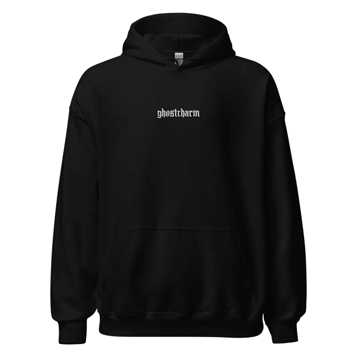 Embroidered Script Hoodie product image (1)