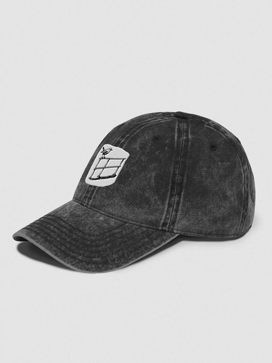 Vintage Wash Railbird Dad Hat product image (3)