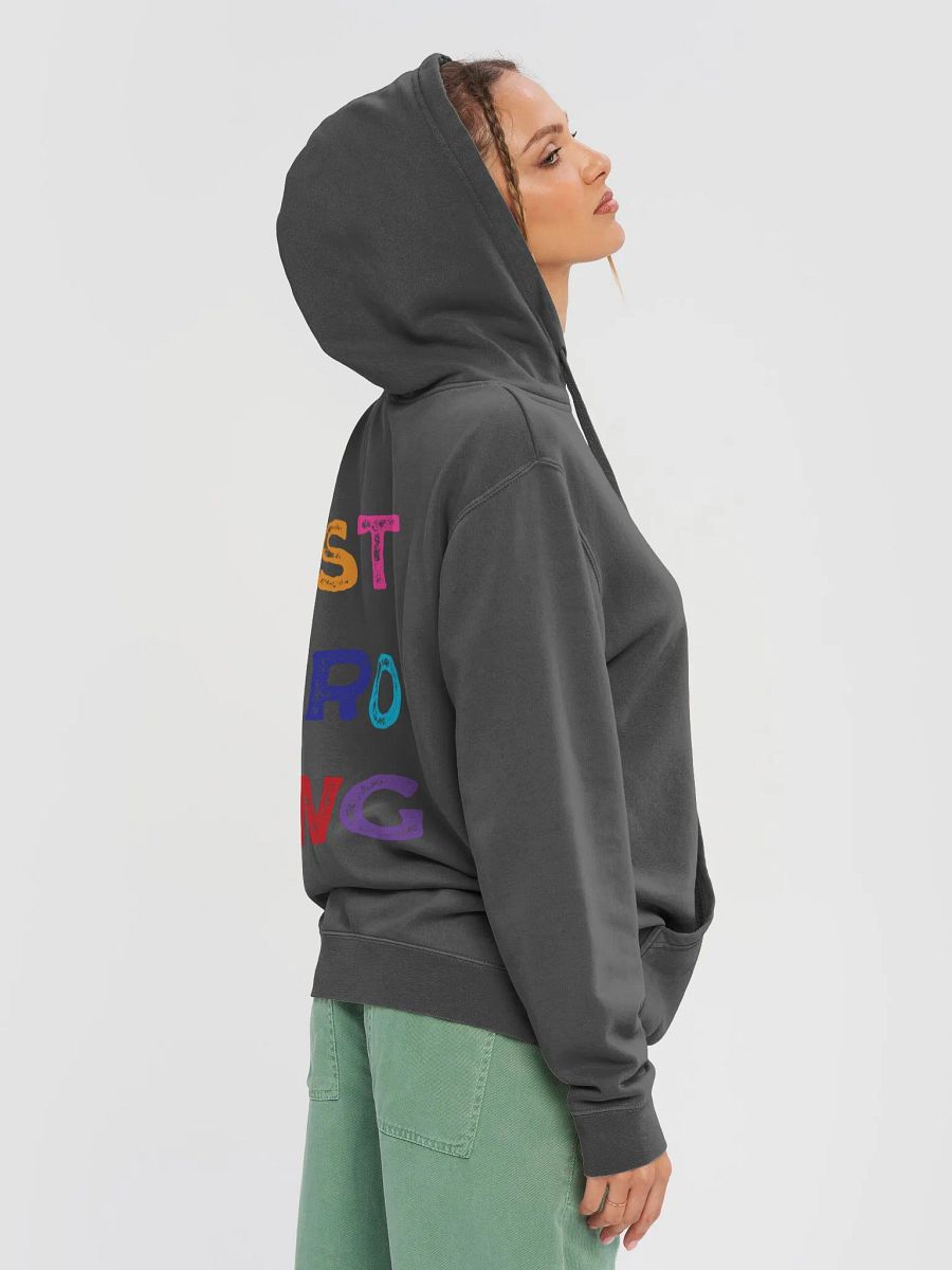 Vintage B&E Pigment-Dyed Hoodie product image (5)