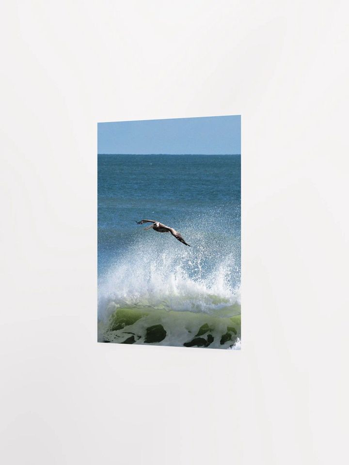 Flying Pelican product image (28)