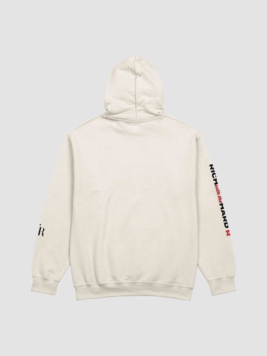 ALT RHR HOODIE - TAN product image (2)