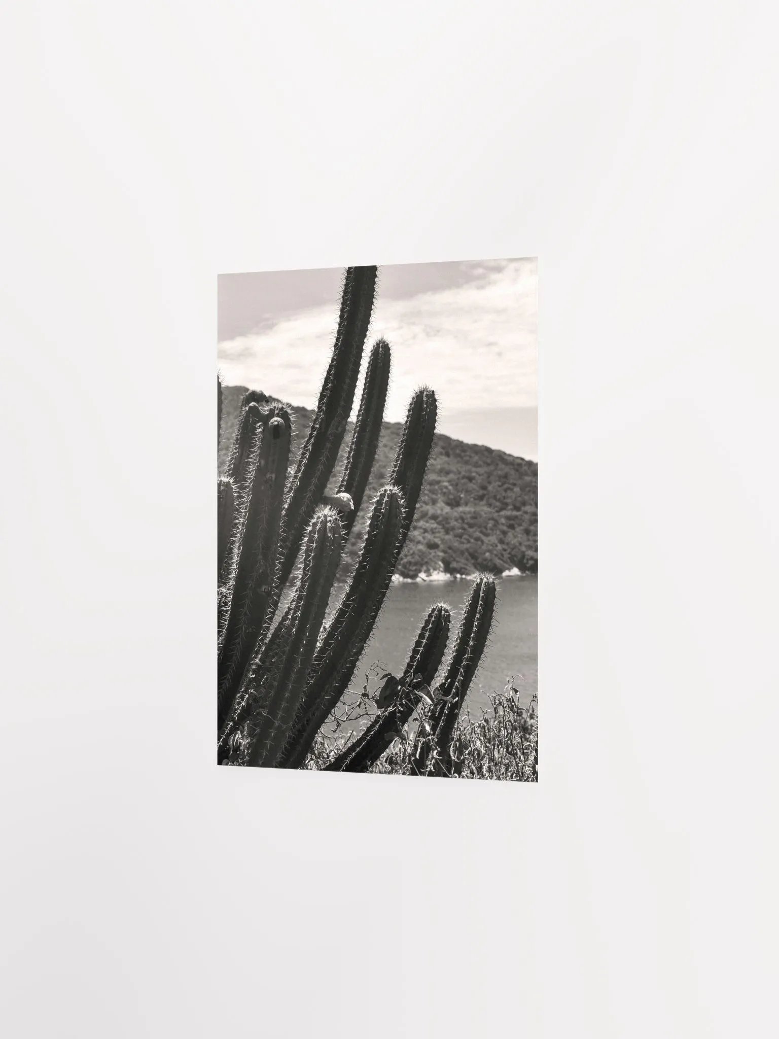 Mexico Lindo - Enhanced Matte Paper Poster product image (3)