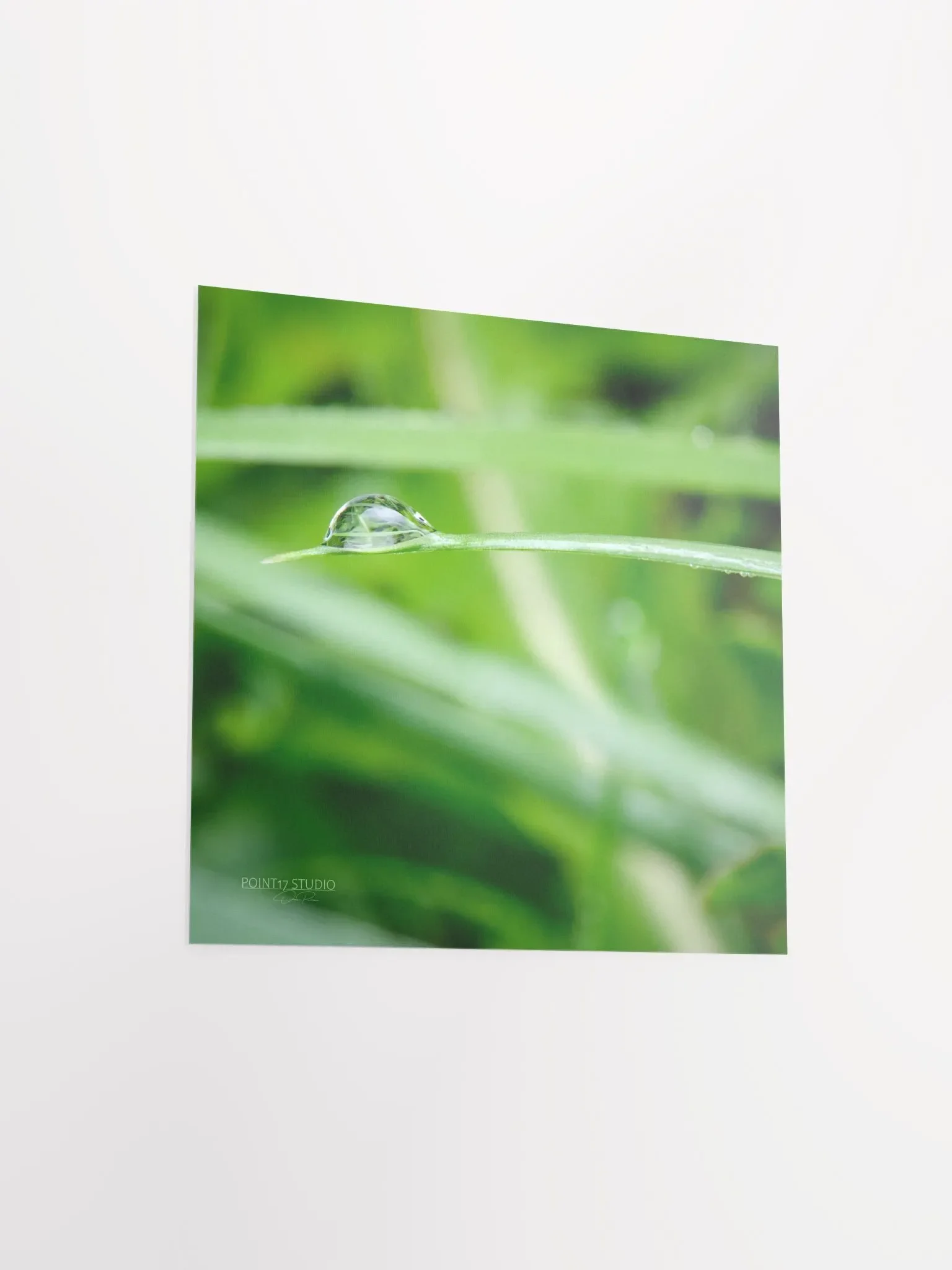 Dew Gems #10 - Print product image (8)