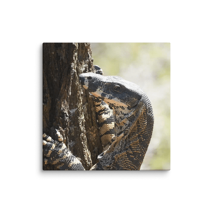 Goanna Canvas product image (1)