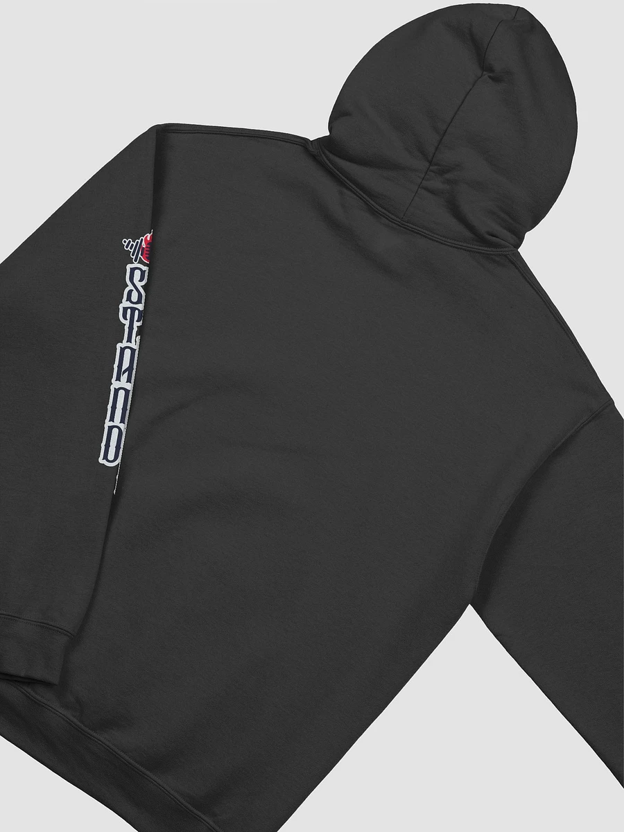 WFO Classic Hoodie product image (15)