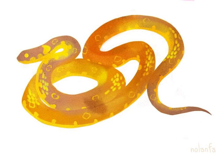 Snakes (individual): Postcard Prints product image (2)