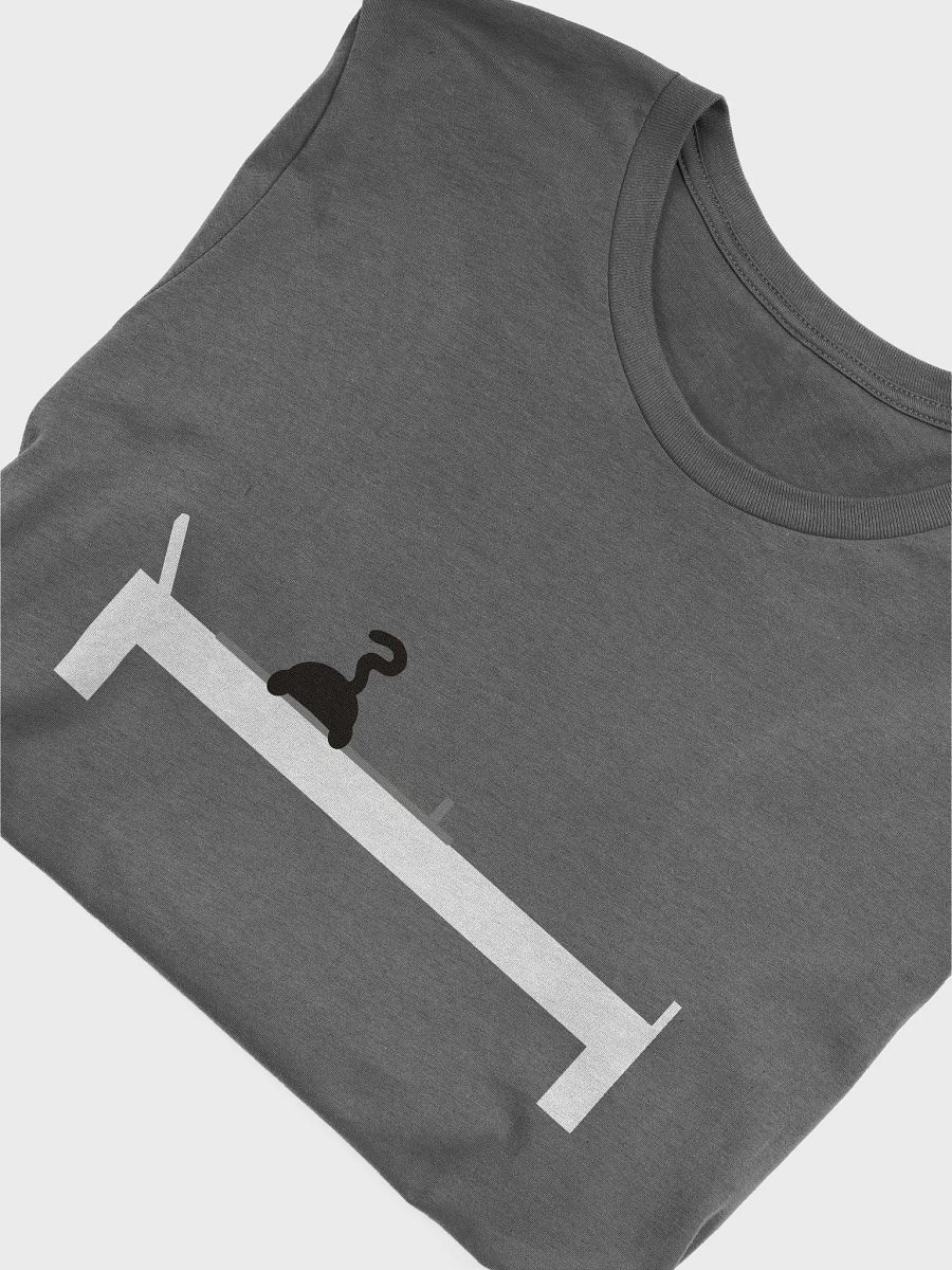 Cat on the Reformer T-shirt product image (45)