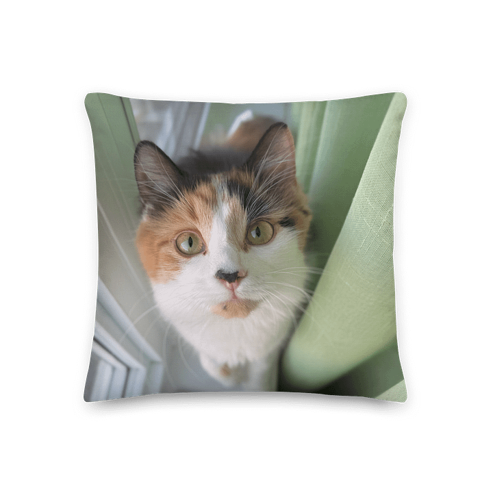 Stinking Cute Pillow product image (2)