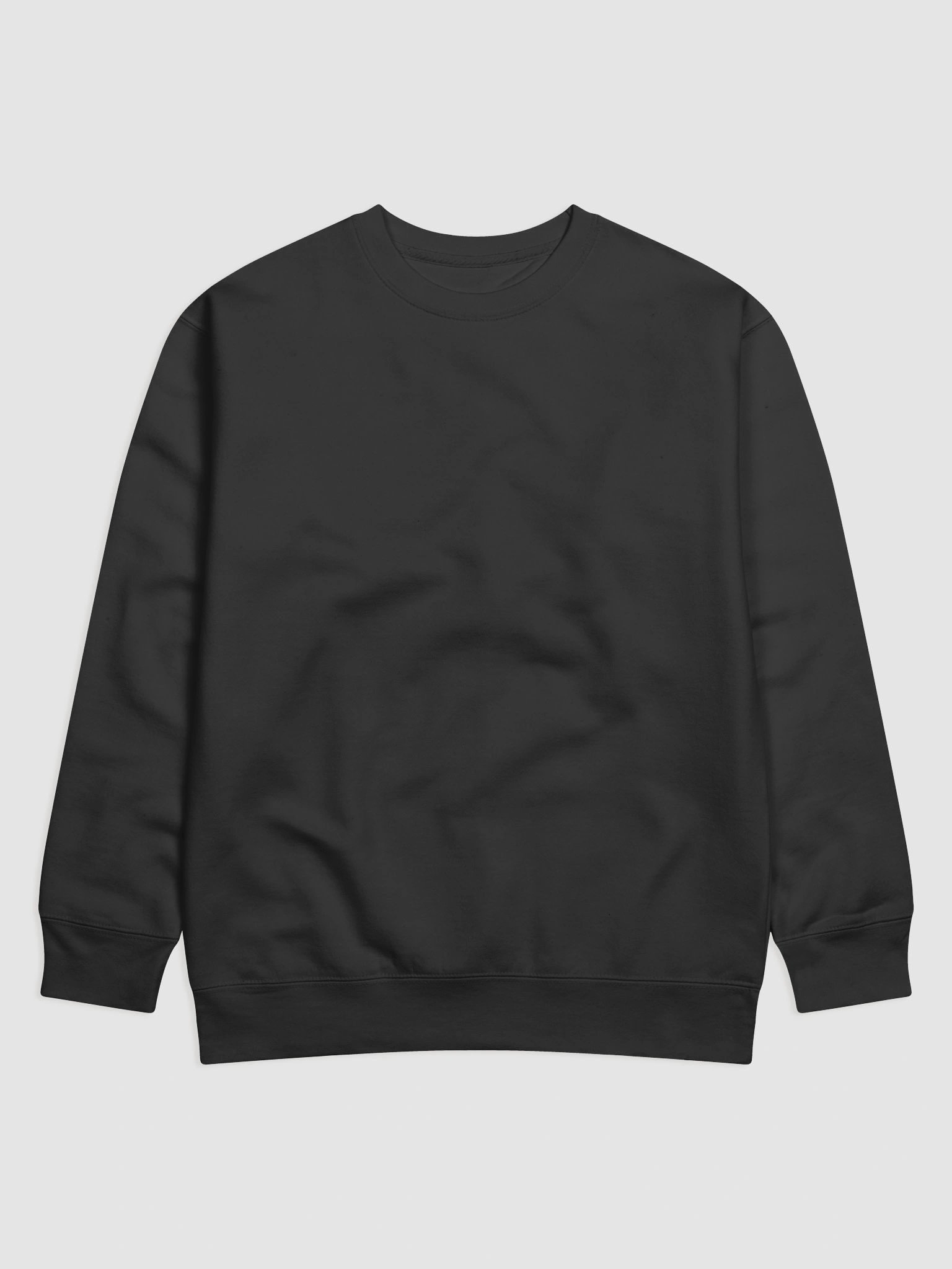 Sweatshirt - Ashton's S197 product image (3)