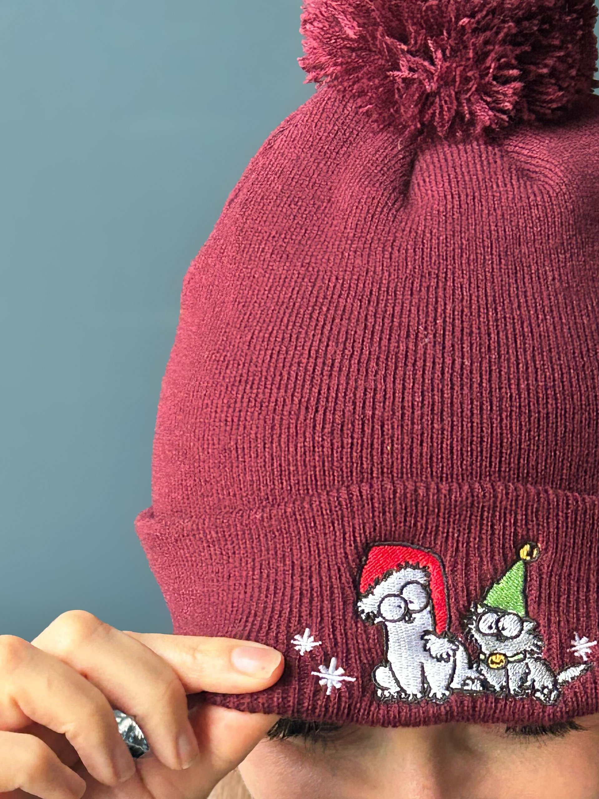 Festive Beanie product image (4)
