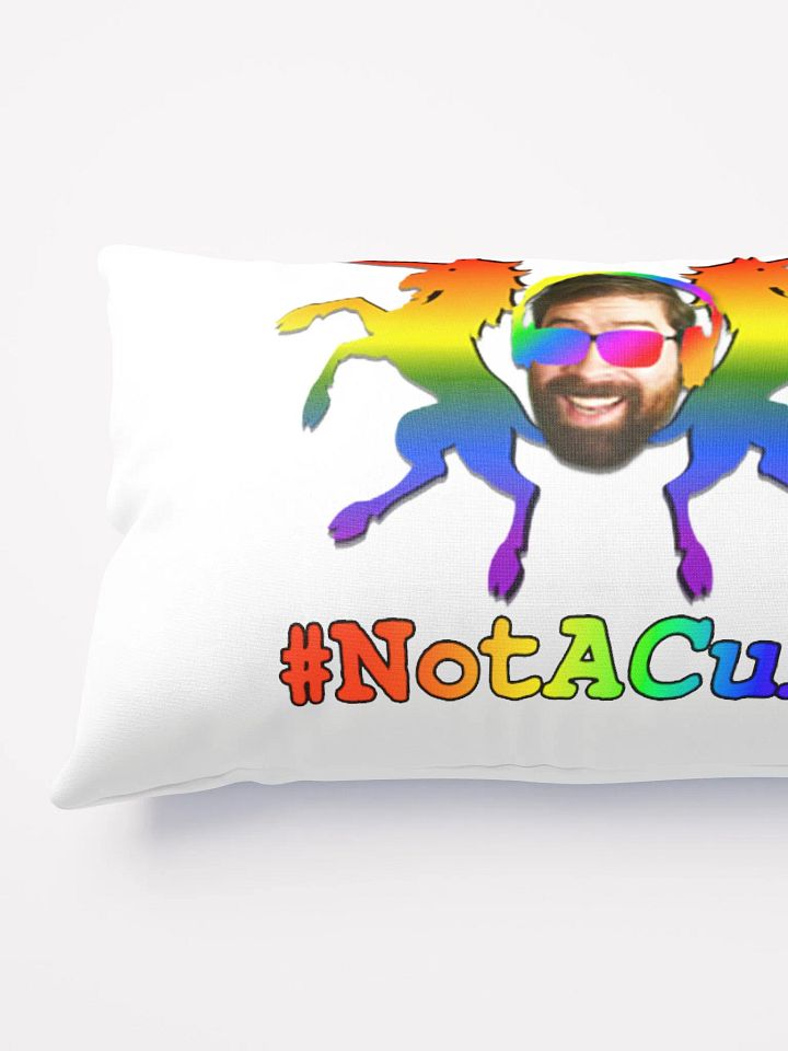 #NotACult Rainbow Pillow product image (2)