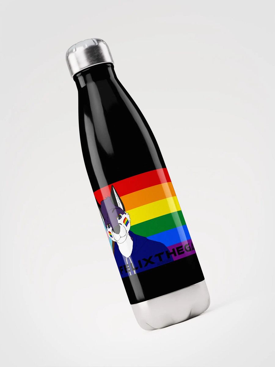 Felix Progress Pride Stainless Steel Bottle product image (5)
