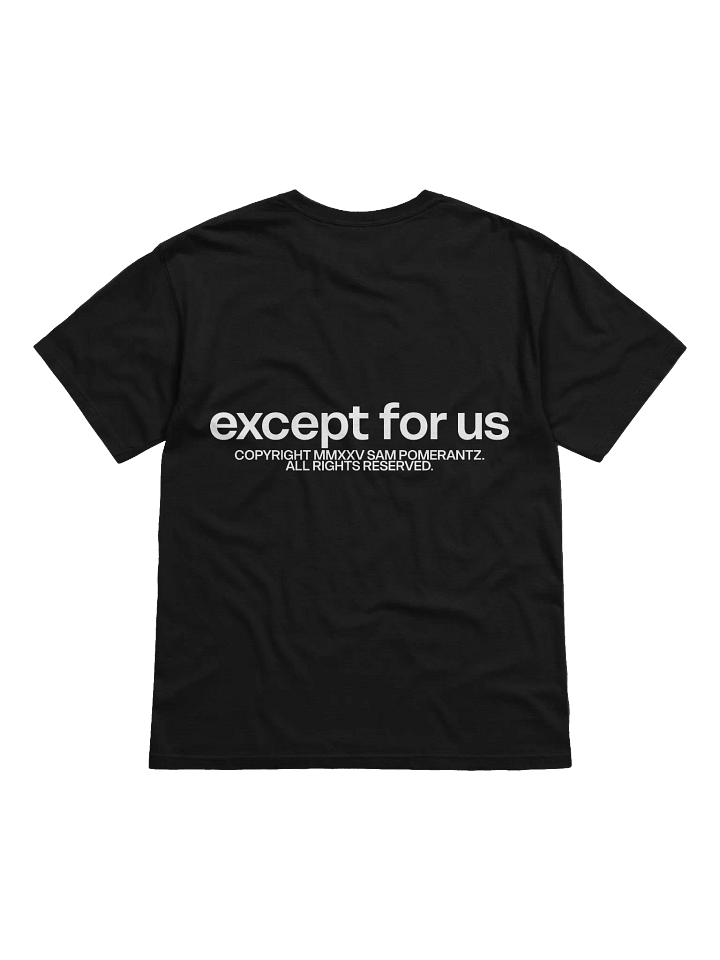 Except For Us Threshold Tee product image (2)