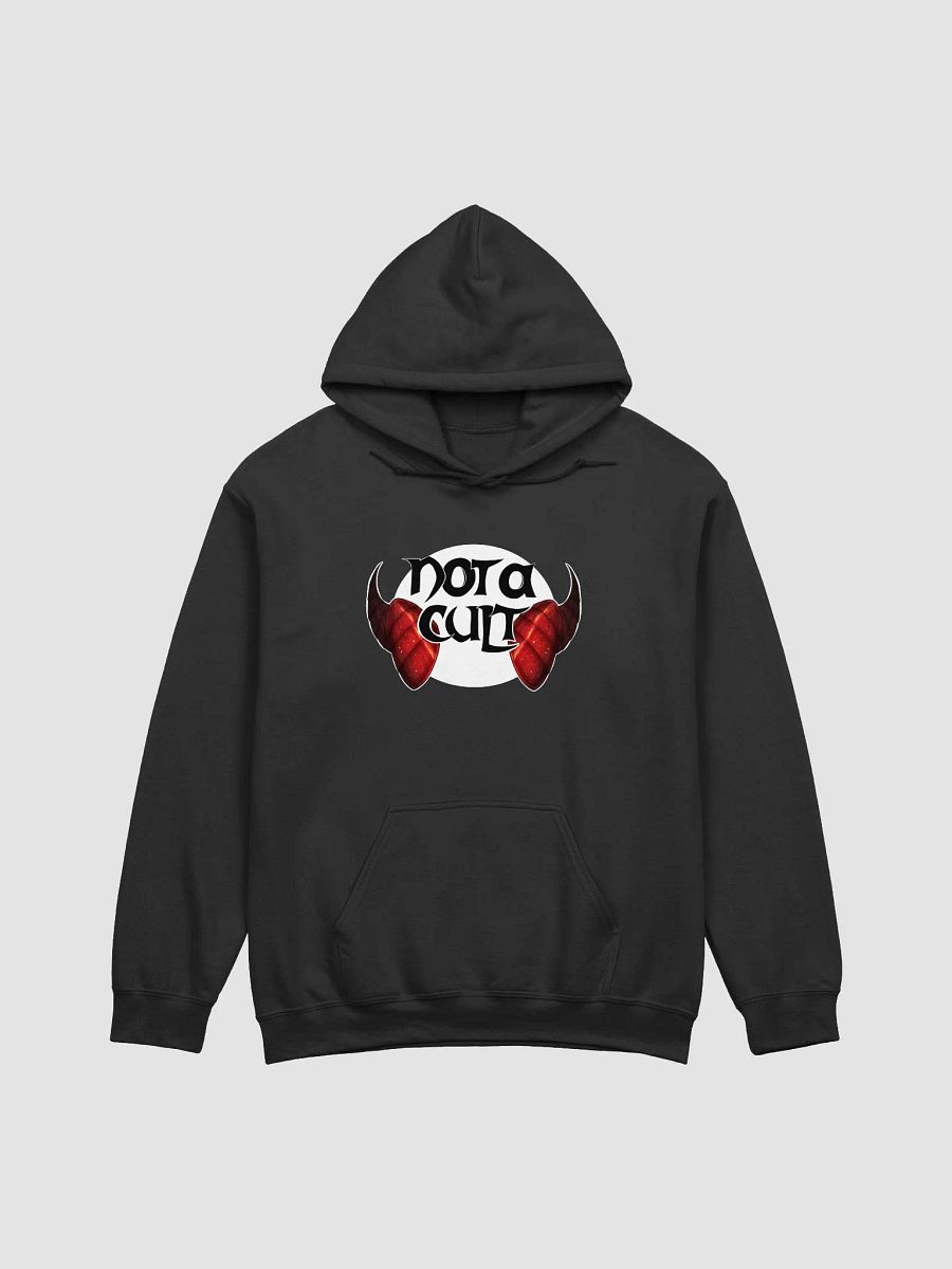 Not a Cult Hoodie product image (1)