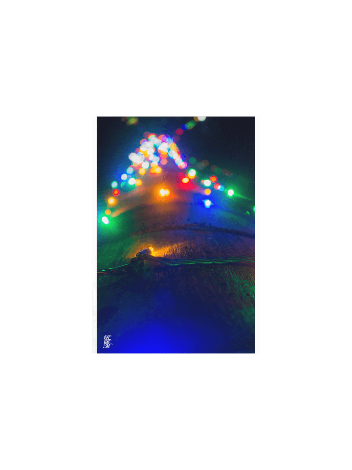 Lights on a Tree product image (3)