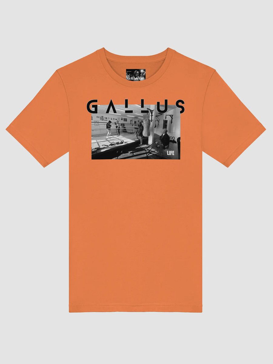 Gallus 2025 Life Collection product image (40)