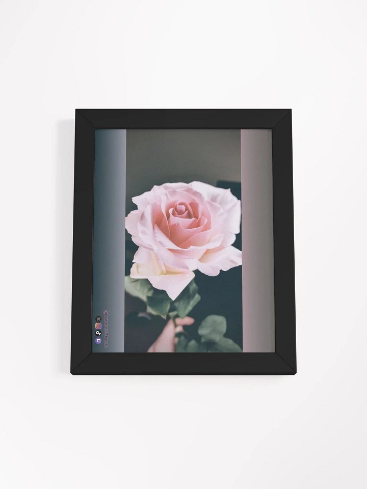 Elegant Rose Photography Print product image (1)