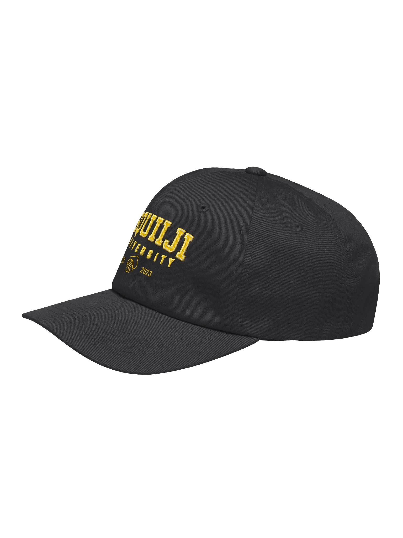 Squiiji University Ballcap product image (15)