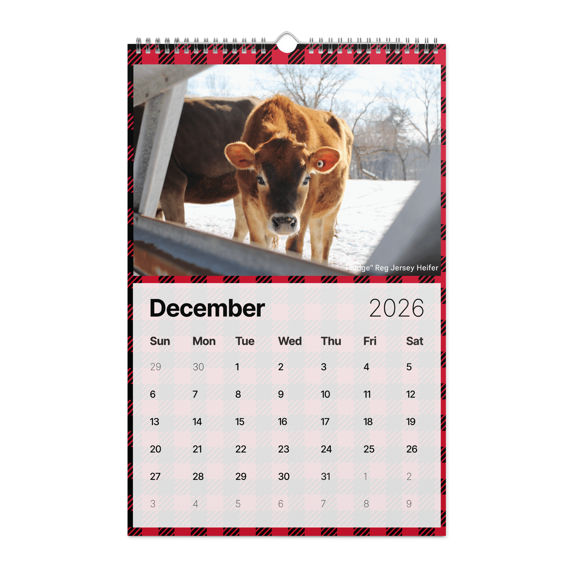 Muddy Toes Farm 2026 Country Life Calendar product image (4)