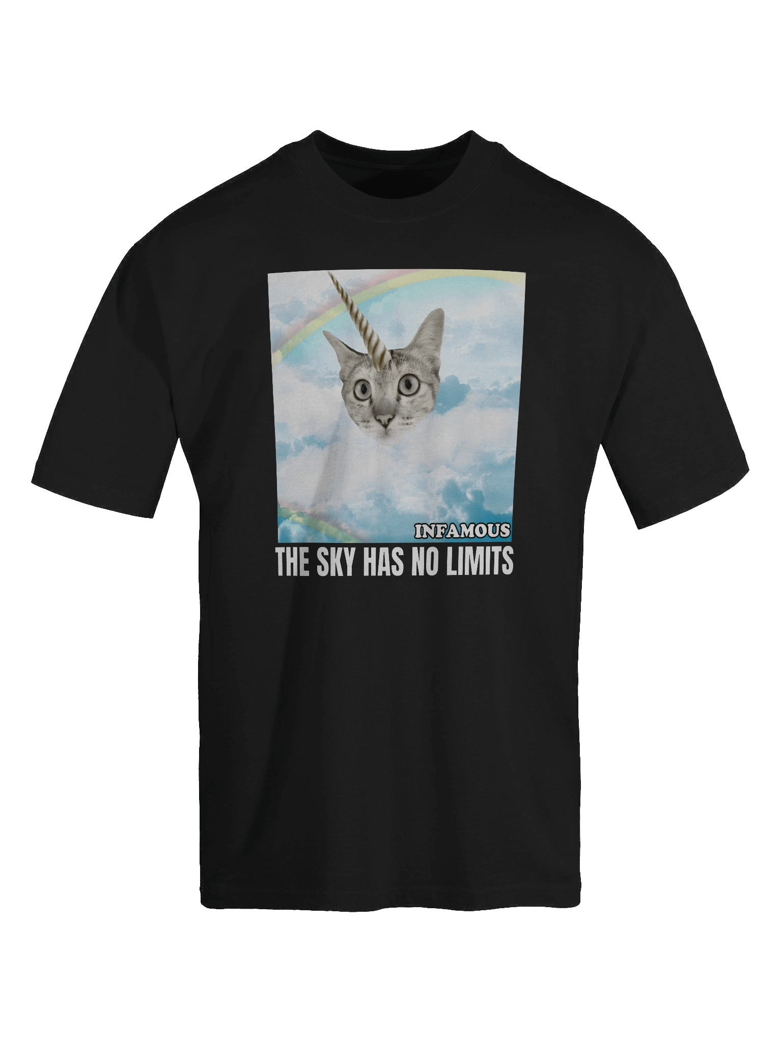 The Sky Has No Limits Oversized Tee - BLACK product image (6)