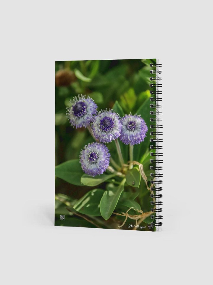 📘 Notebook Collection PURE – Jardin du Rayol – Globulaire maritime product image (2)