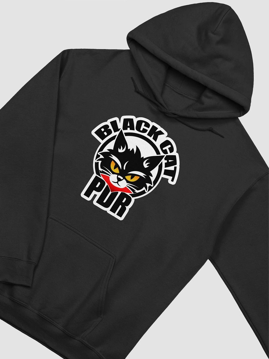 PDR Racing Logo Hoodie product image (19)