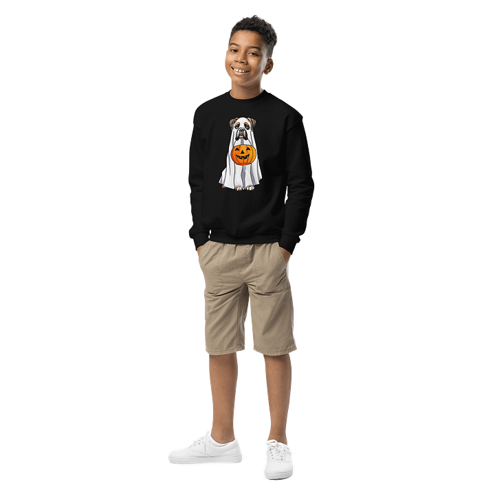 Halloween Boxer Youth Sweatshirt product image (1)