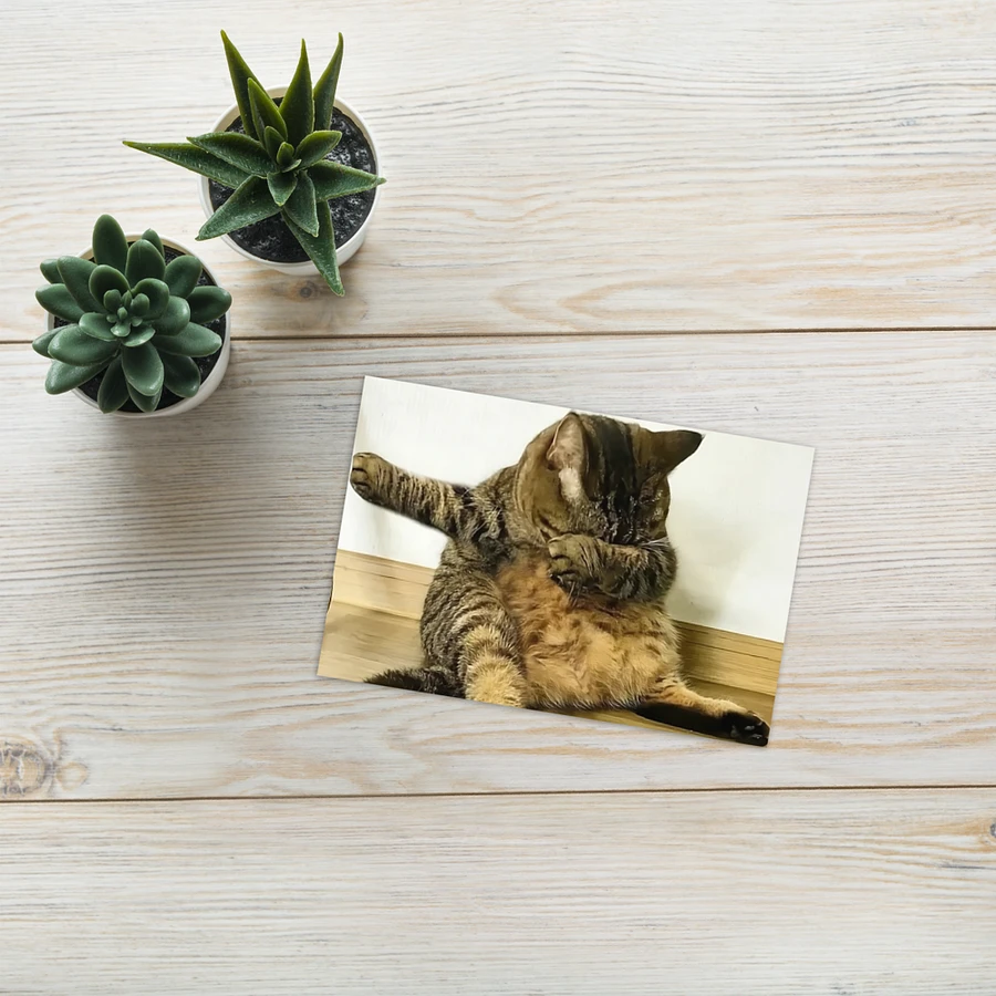 Greeting Card: Meme Cats product image (25)