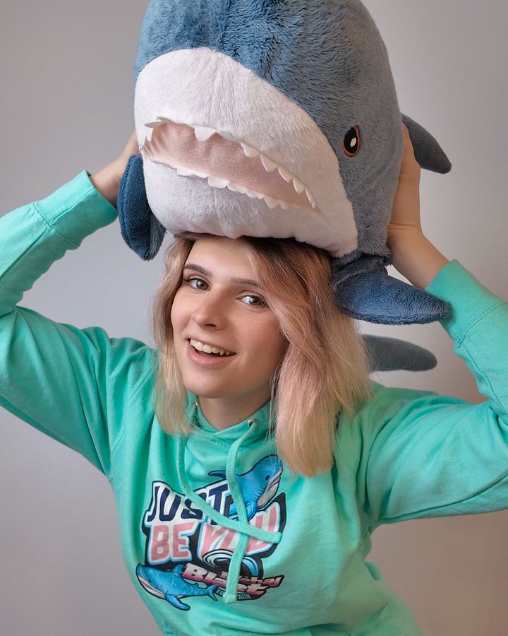 Blahaj Blast Hoodie product image (1)