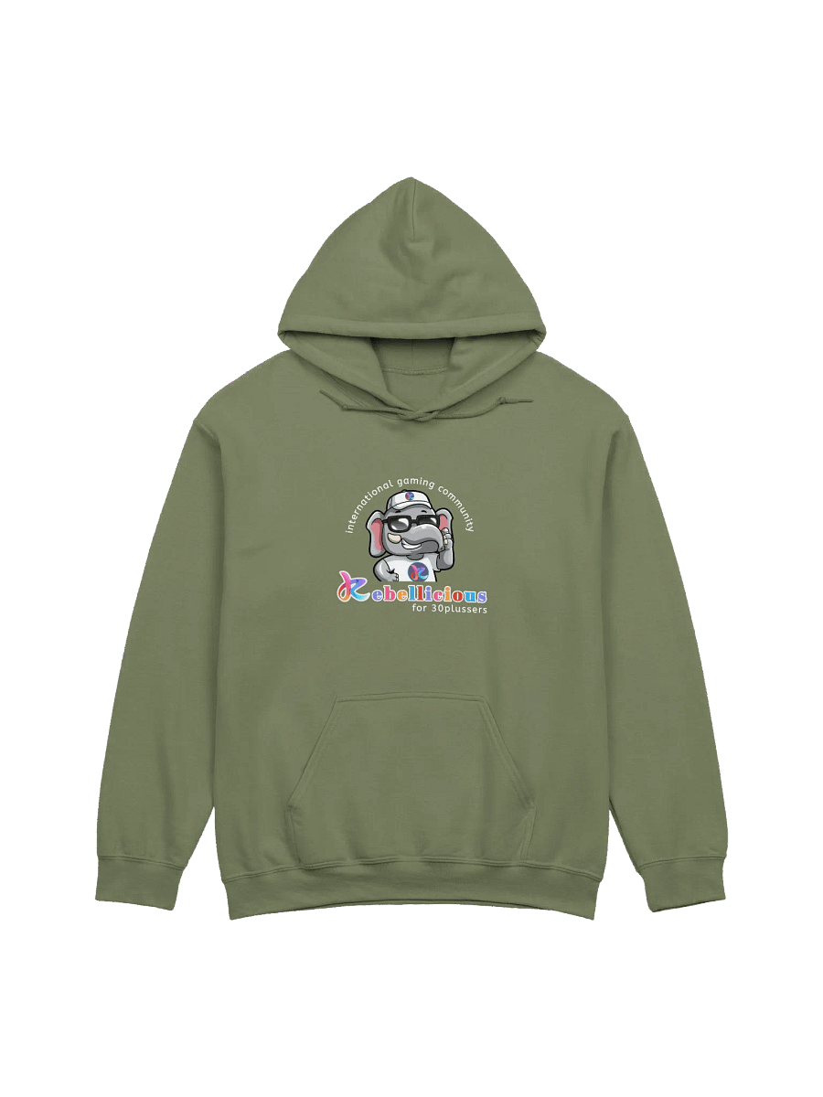Gildan Classic Hoodie product image (1)