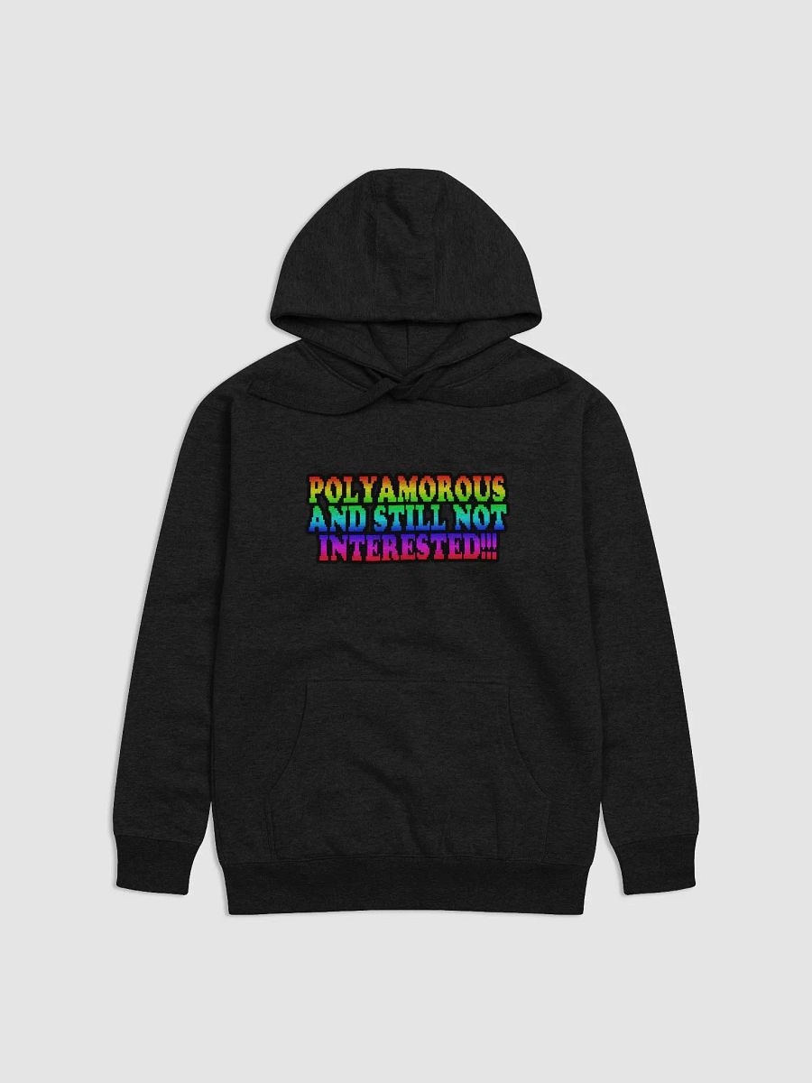 Polyamorous and Still not Interested Hoodie product image (1)
