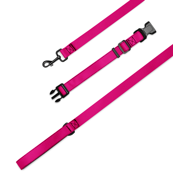 Lucky Dog Pink Pet Collar & Leash Set 03 product image (1)
