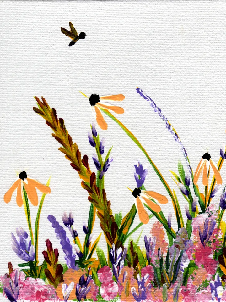 Wildflower Meadow product image (1)