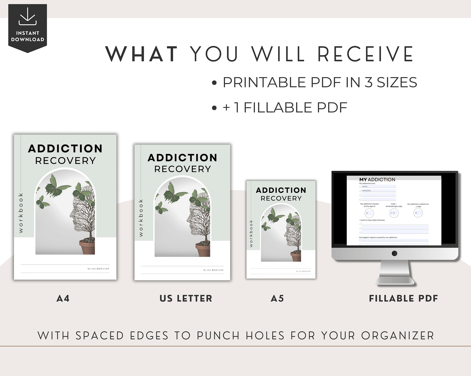 Addiction Recovery Workbook and Sobriety Journal - DIGITAL product image (8)