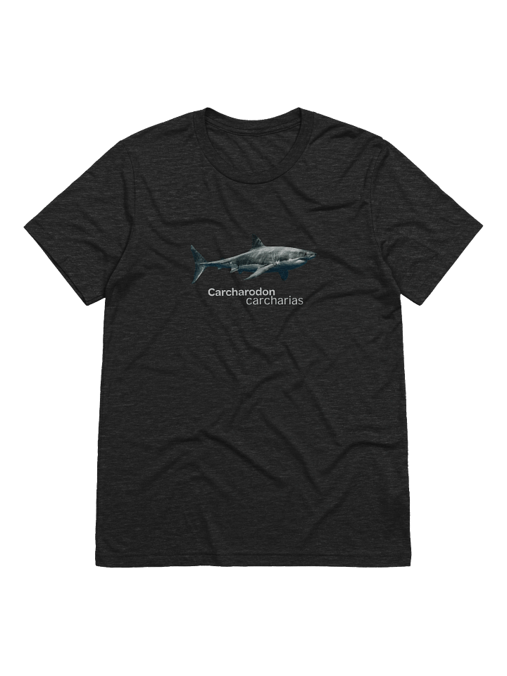 Carcharodon carcharias. product image (1)