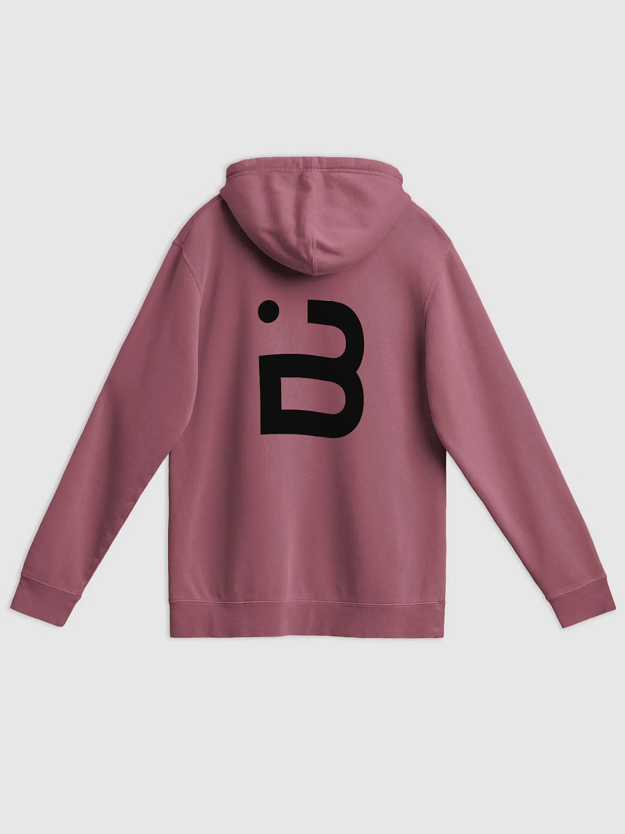 BUIII Originals Logo Black Premium Vintage Hoodie product image (13)