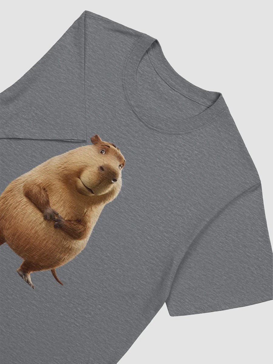 Capy Cozy Club product image (3)