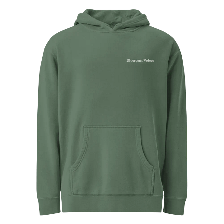 Divergent Voices Basic Embroidered Unisex Hoodie product image (1)