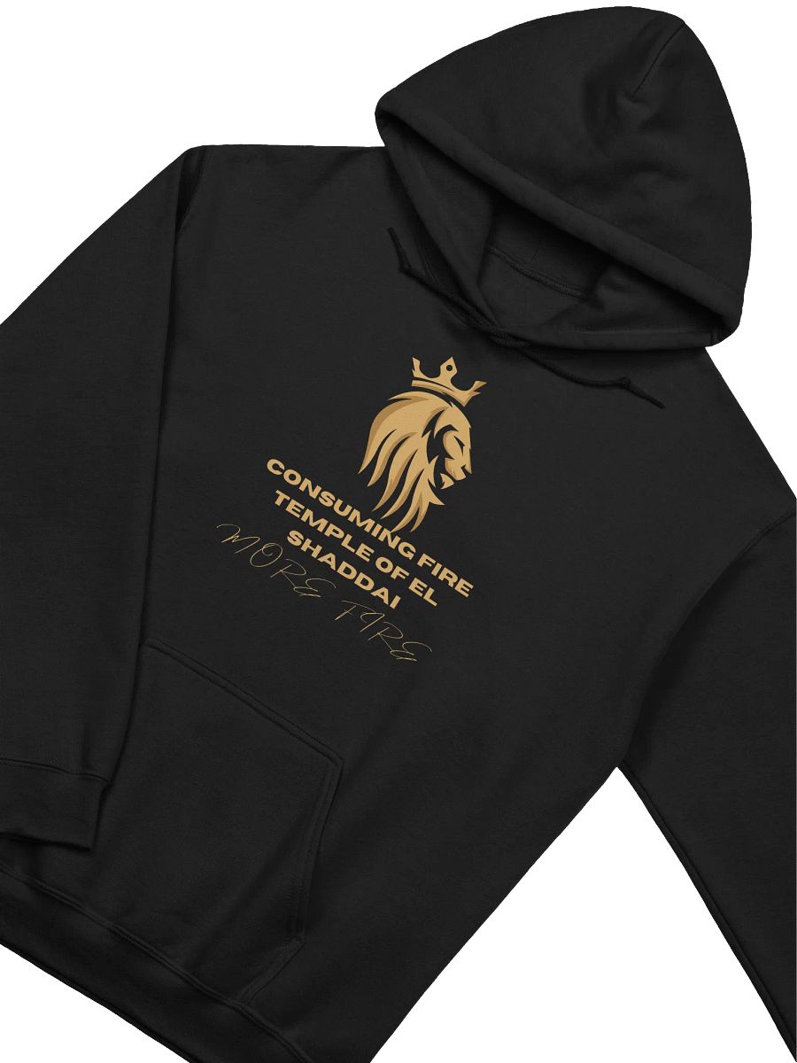 Fire Temple Hoodie product image (3)