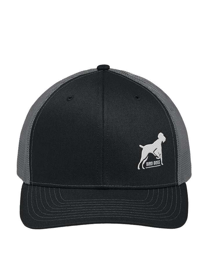 Bird Dogs Baseball Hat product image (3)