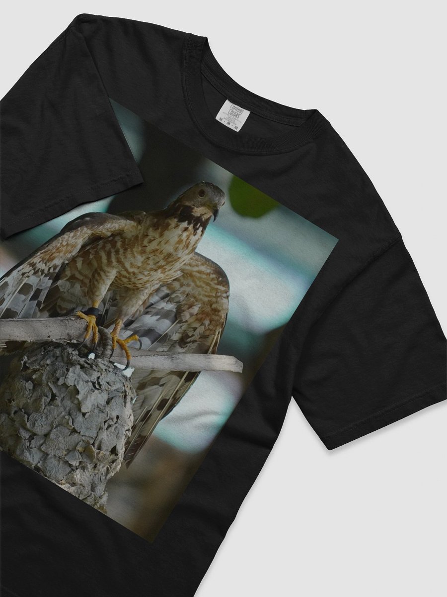 Cloud Comfort: Garment-Dyed Tee product image (3)