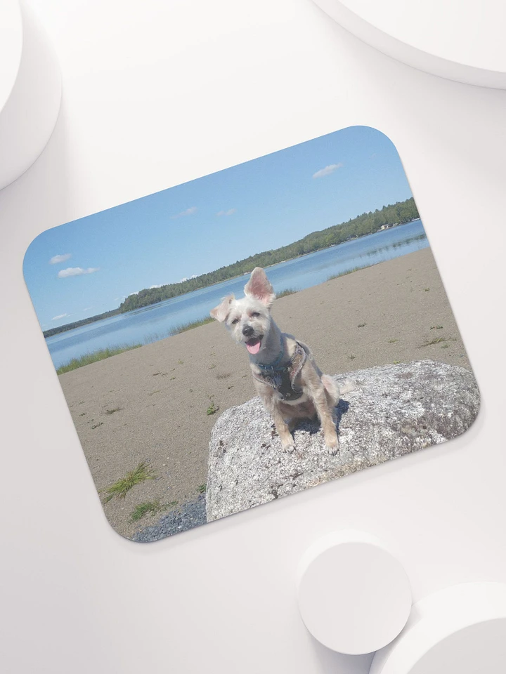 Mozzie At The Lake Mouse Pad product image (2)