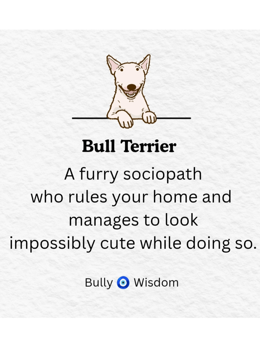 Bull Terrier- Calendar 2026 product image (5)