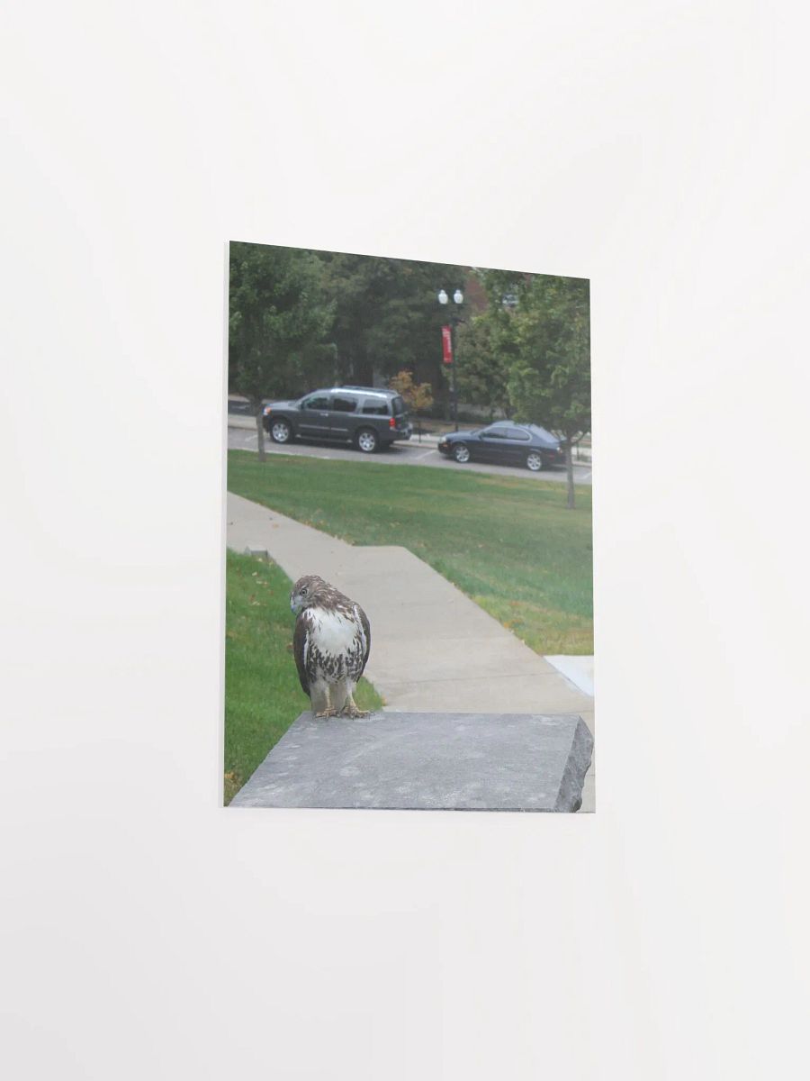 Shame's Gravity product image (35)