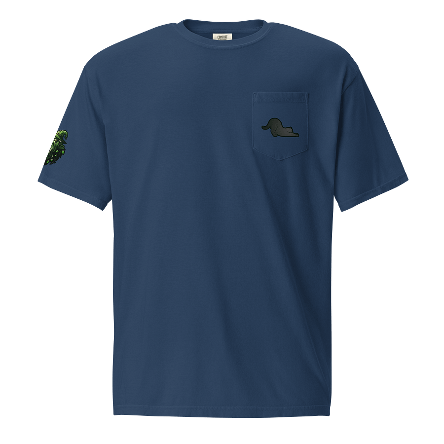 Sage's Black Cat in a Pocket product image (9)
