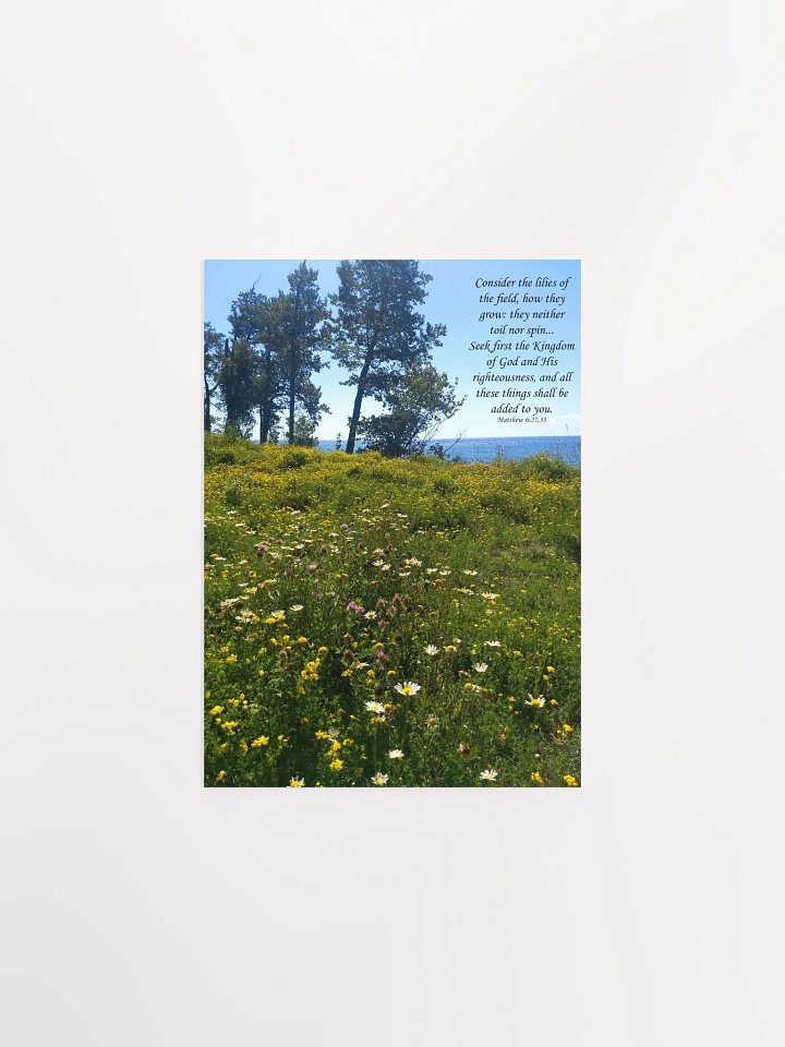 Consider the lilies - Print product image (1)