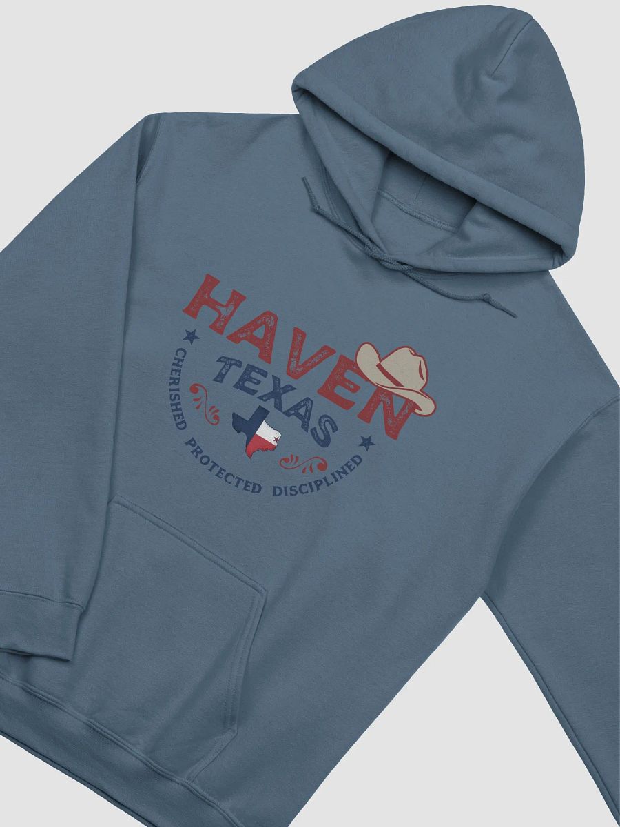 Haven Texas Hoodie product image (3)