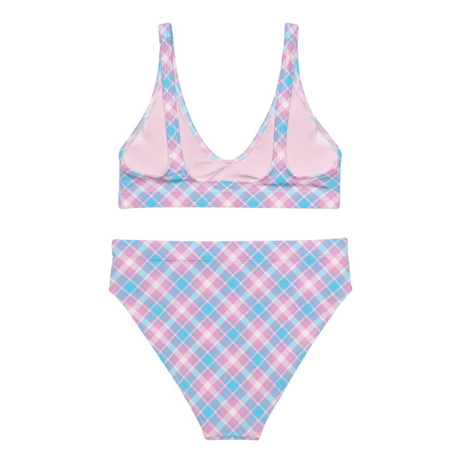 Baby Blue, Pink, and White Plaid Bikini product image (4)